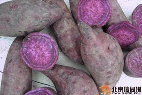 紫薯的营养价值有哪些 分析其食用功效与价值