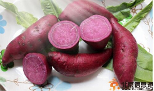 紫薯的营养价值有哪些 分析其食用功效与价值