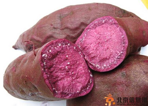 紫薯的营养价值有哪些 分析其食用功效与价值