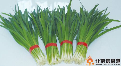 韭菜的功效与作用分析 了解韭菜食用禁忌很重要