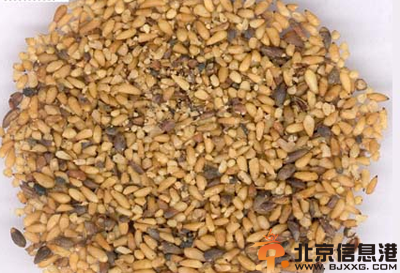 中草药柏子仁功效有哪些 盘点柏子仁的功效和作用