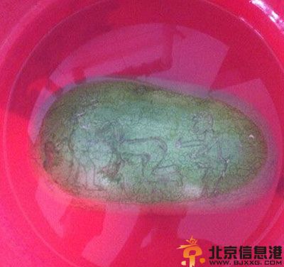 亮点图不易察觉的真相 西瓜上的山水图