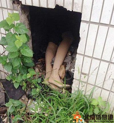 亮点图刚才经历了什么 这是一幅有故事的画面
