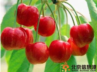 教你吃什么可以美白 让你马上吃出白皙肌肤
