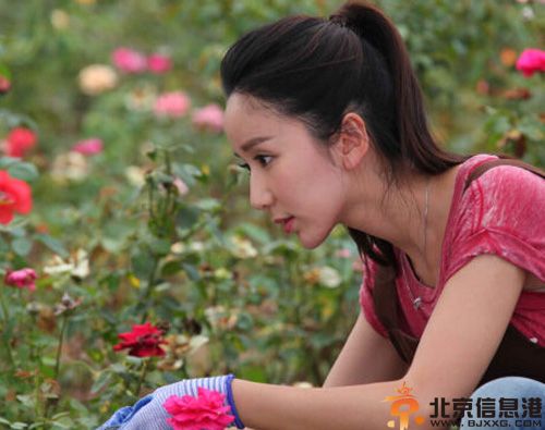 电视剧你是我的姐妹演员表剧情介绍 刘恺威变身型男