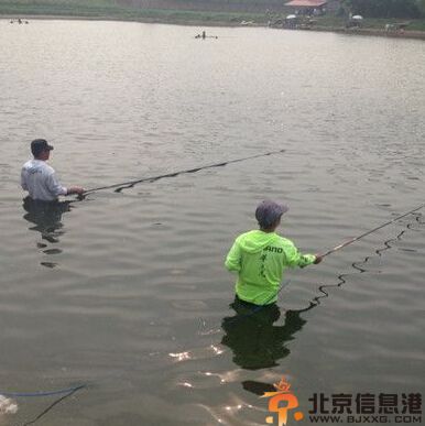 搞笑图片正确的表白方式 文艺青年和土豪的差别