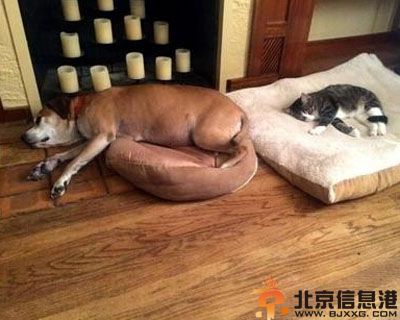 搞笑图片悲剧就是这么突然 终于可以边吃边看了
