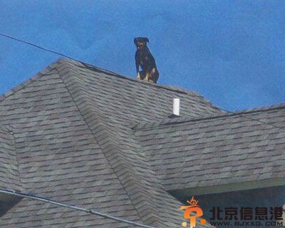 亮点图好一个飘逸的美男子 无法直视的激情一幕
