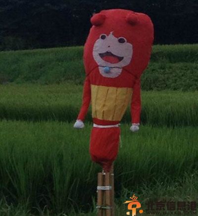 把持不住的内涵亮点图 节操节操你去哪里了呀