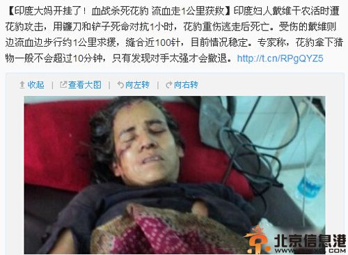 印度大妈坎拉·戴维杀死花豹 事后步行1公里求救