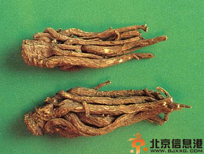 中草药当归功效有哪些 盘点当归功效和作用