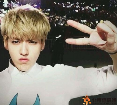 夏有乔木雅望天堂电影演员表 韩庚吴亦凡合拍