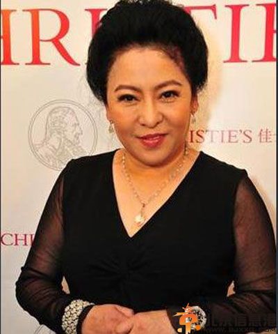 甄妮骂九把刀 陈岚微博反驳甄妮个人资料引关注