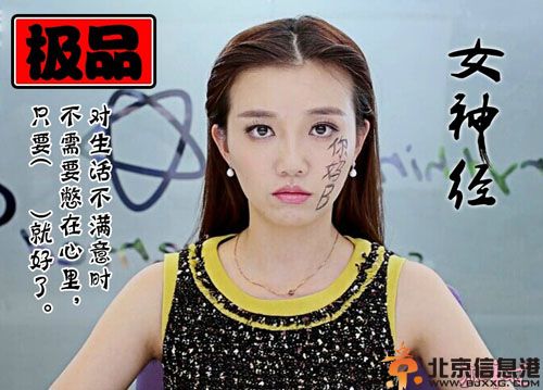 网络电视剧极品女士第三季剧情介绍演员表1-8全集大结局