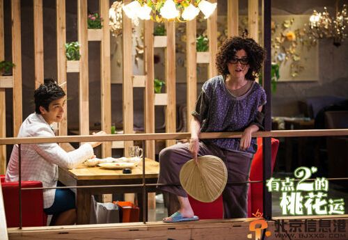 电视剧有点二的桃花运演员表 林永健桃花不断