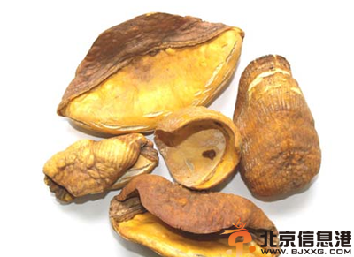 中草药穿山甲功效有哪些 盘点穿山甲功效和作用