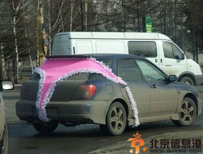 搞笑表情界最美图片 画面太美我不忍独看