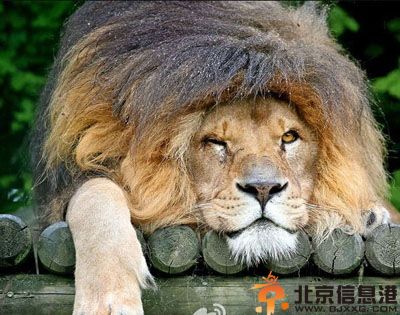 搞笑表情界最美图片 画面太美我不忍独看