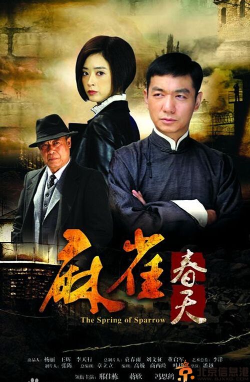 电视剧麻雀春天分集剧情介绍演员表(1-40)全集大结局