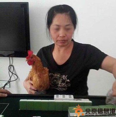 搞笑图片最佳熊孩子 妥妥的有前途