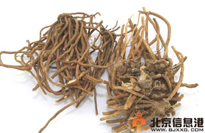 中草药白薇功效有哪些 盘点白薇功效和作用