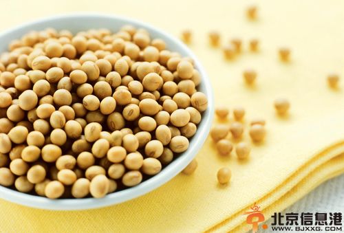 黄豆的功效与作用分析 解析其食用方法与禁忌