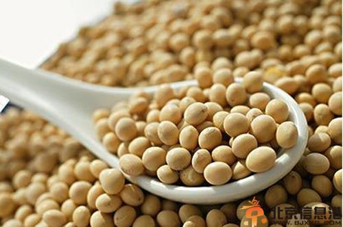 黄豆的功效与作用分析 解析其食用方法与禁忌