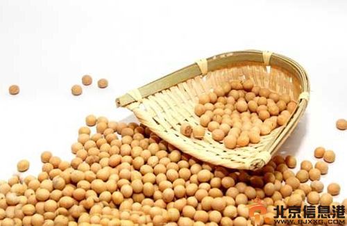 黄豆的功效与作用分析 解析其食用方法与禁忌