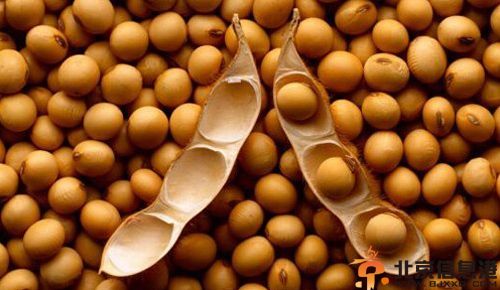 黄豆的功效与作用分析 解析其食用方法与禁忌