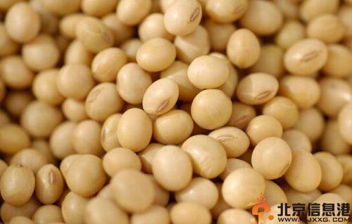 黄豆的功效与作用分析 解析其食用方法与禁忌