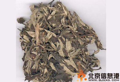 中草药艾叶功效有哪些 盘点艾叶功效和作用