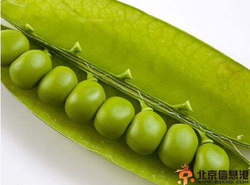 盘点豌豆的营养价值及功效 注意适用人群是关键