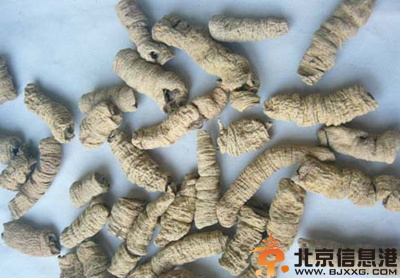 中草药巴戟天功效有哪些 巴戟天功效和作用