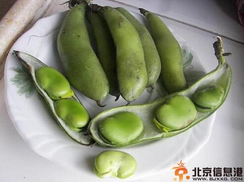 蚕豆的营养价值分析 盘点其功效及作用