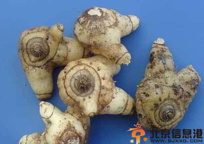 中草药白芨功效有哪些 盘点白芨功效和作用