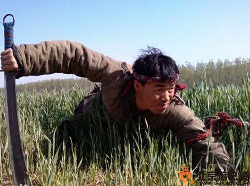 电视剧兵出潼关演员表剧情介绍 谷智鑫搭档刘佳