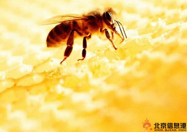 蜜制品有哪些 蜂蜜食用的禁忌介绍