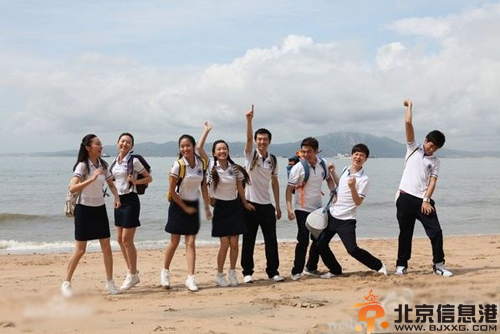 电视剧青春守则剧情介绍演员表 曾龙杨采钰领衔出演