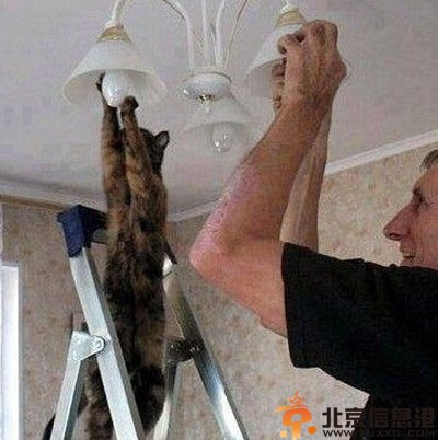 亮点图略屌的汪星人 看哥牛逼的皮带