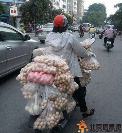 搞笑图片虔诚的喵星人 本喵也来求姻缘
