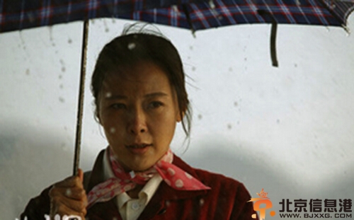 电视剧我们光荣的日子演员表剧情介绍 柯蓝主演