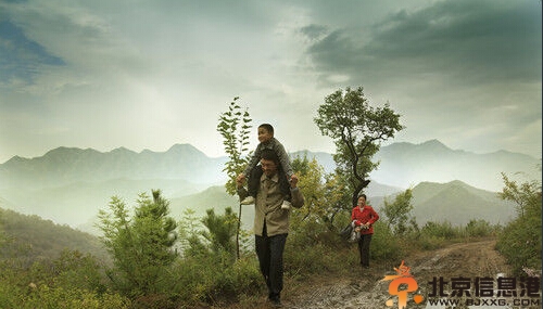 电视剧我们光荣的日子演员表剧情介绍 柯蓝主演