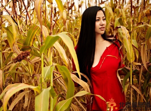 g奶嫩模苏梓玲大尺度写真曝光 史上最性感女狐图片