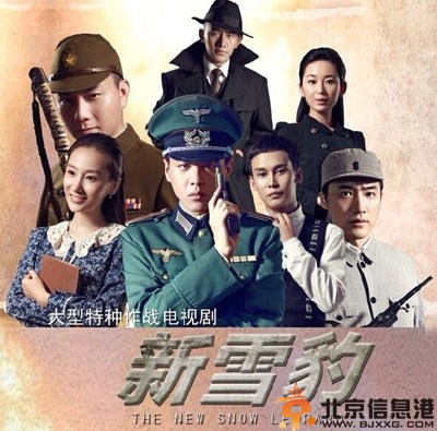 电视剧新雪豹分集剧情介绍演员表1-46全集大结局