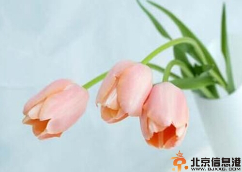 o型血人的性格特点 外表乐观内心想法很多