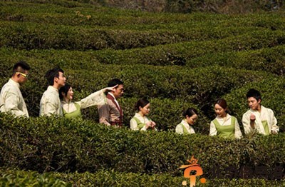 电影斗茶演员表剧情介绍 杨紫携手尔玛依娜