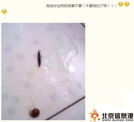 搞笑图片老婆咱们换个姿势 说走就走的旅行