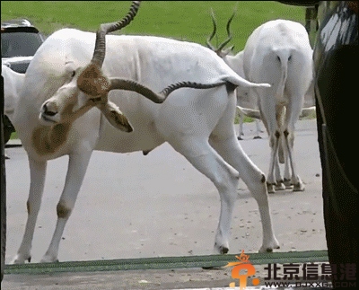 搞笑图片老婆咱们换个姿势 说走就走的旅行