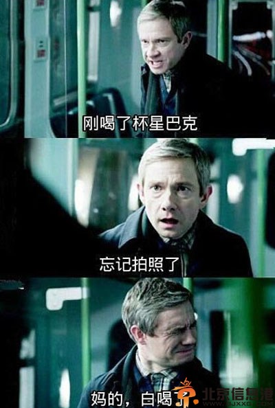 搞笑图片好形象的眼镜蛇 二师兄真喝多了