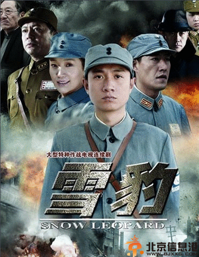 老版电视剧雪豹分集剧情介绍演员表（1-40）全集大结局